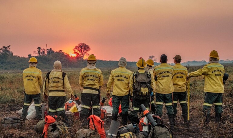 Missão de Técnicos Portugueses no Pantanal, Brasil