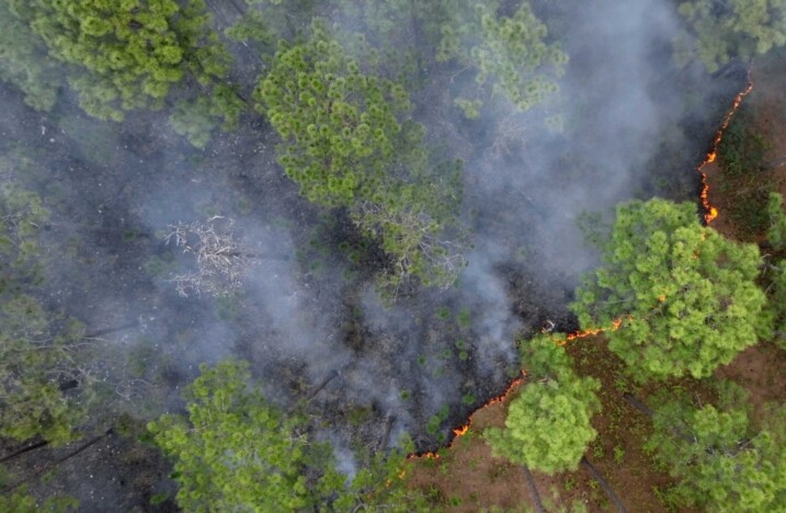 Aliança estratégica para a inovação na gestão de incêndios em Portugal